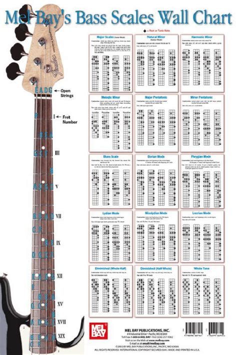 Bass Guitar Scales Wall Charts - Bass Player Center