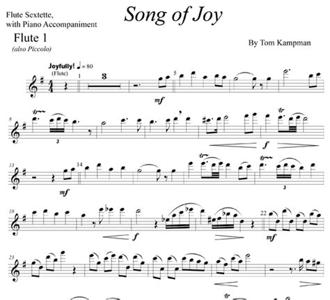 Song of Joy for flute and piano | ScoreVivo