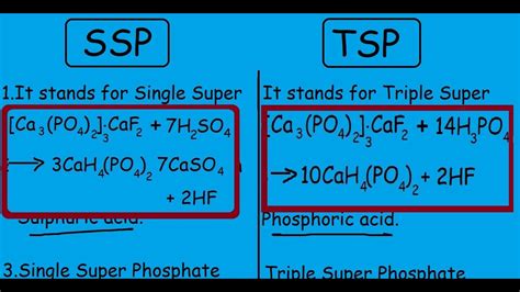 Single Super Phosphate Vs Triple Super Phosphate |Differences and Comparisons| - YouTube