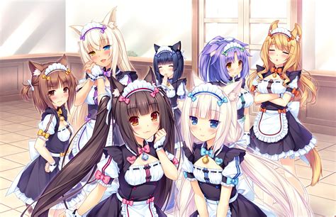 1080P, Chocola (Nekopara), Vanilla (Nekopara), Nekopara, Anime HD Wallpaper