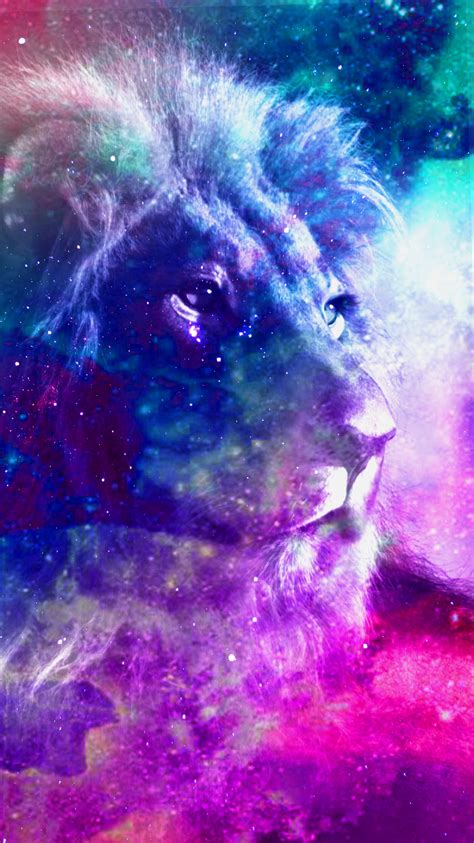 This is the lion I photoshopped It is now galaxy lion 🌌 🦁 | Lion hd ...