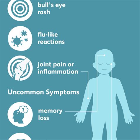 Lyme Disease: Signs, Symptoms, and Complications