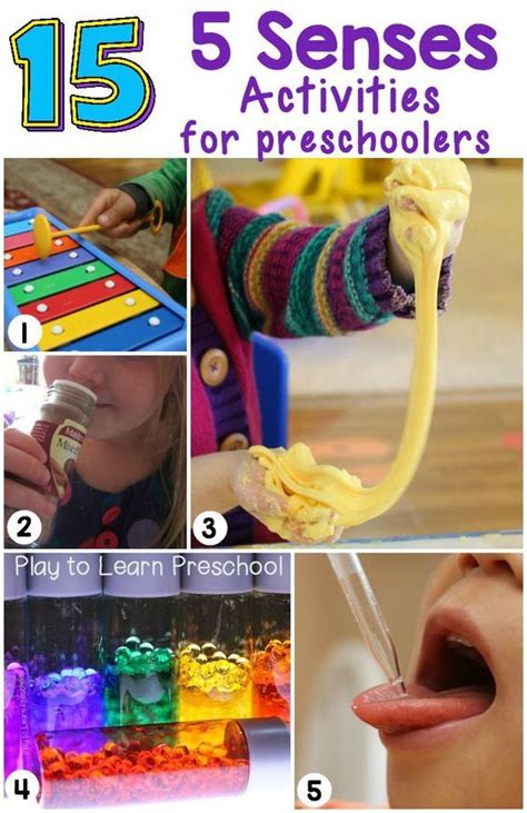 5 Senses Activities for Preschoolers Five Senses Preschool, 5 Senses Activities, My Five Senses ...