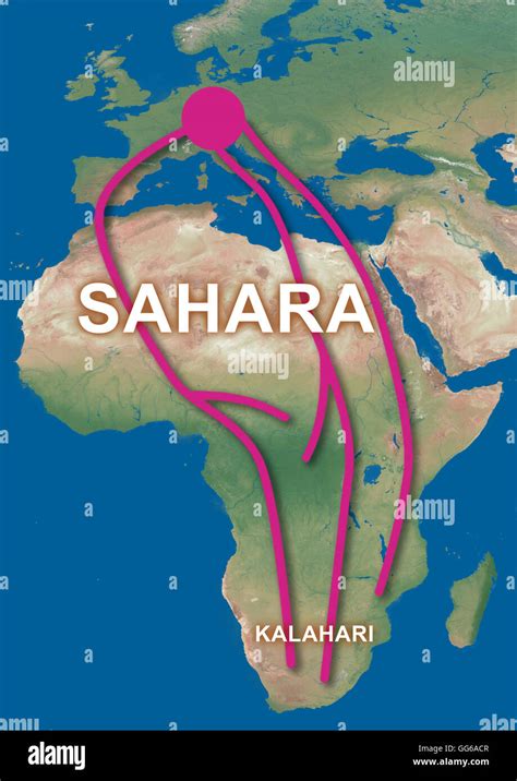 Blackpoll Warbler Migration Map