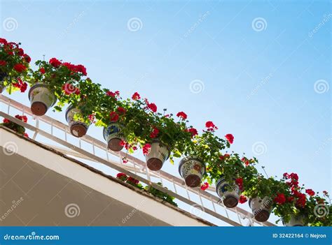 Flower pots on a balcony stock photo. Image of mediterranean - 32422164