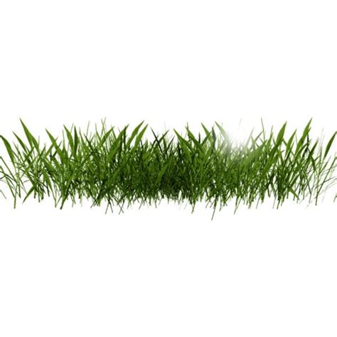 Grass painting, Grass photoshop, Photoshop textures