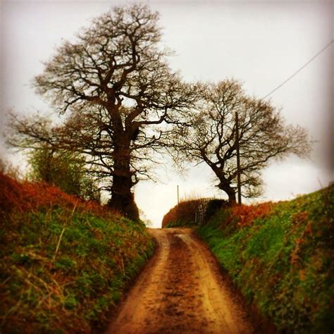 Explore the Hertfordshire Countryside