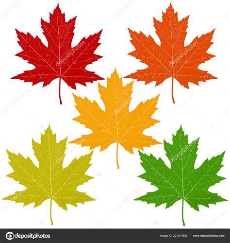 Autumn Leaves Red Maple Leaf Including Orange Yellow Green Symbols ...