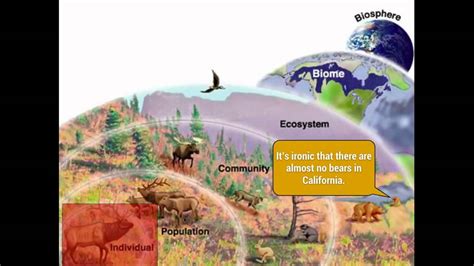 What'S The Opposite Of Ecology? Quick Answer - Ecurrencythailand.com