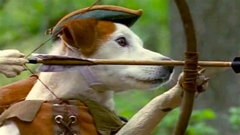 There Will Never Be Another Wishbone | Autostraddle