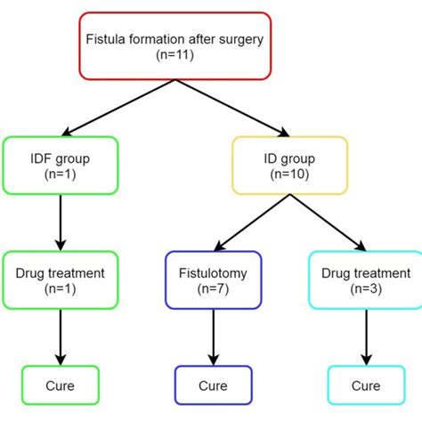 | Outcomes of patients with fistula formation after surgery. ID,... | Download Scientific Diagram