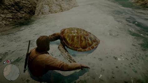 rdr2 Hunting Green turtles in Guarma - YouTube