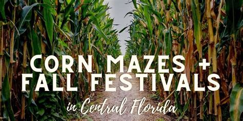 15 Must-Visit Corn Mazes + Fall Festivals in Central Florida