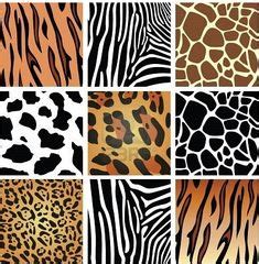 ¿ Te atreves a darle a tu hogar un toque de " ANIMAL PRINT " ? Última ...