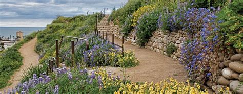 The Ventura Botanical Gardens are Blooming | VCWC