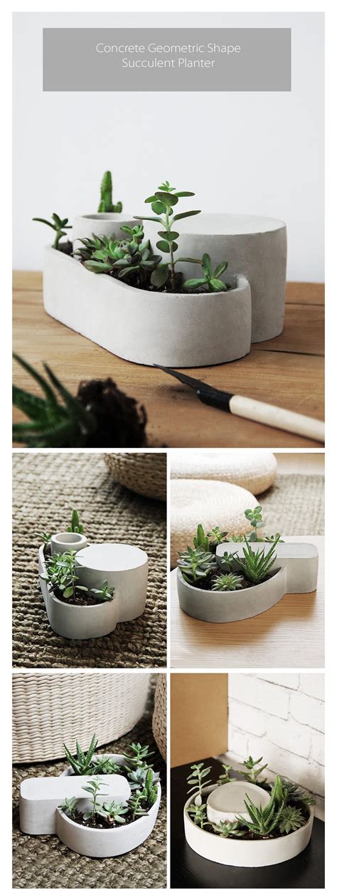 Concrete Geometric Shape Succulent Planter - ApolloBox