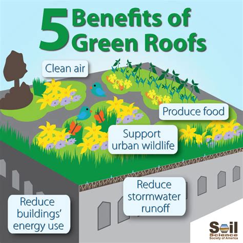 Green roofs | Soil Science Society of America