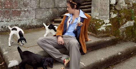 Harry Styles Returns in a New Tailoring Campaign for Gucci ...