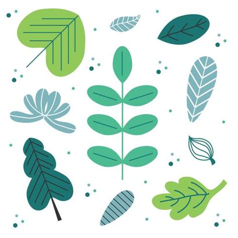 Green Leaves Set Vector 359159 Vector Art at Vecteezy