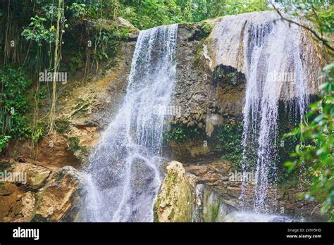 Photo of Gozalandia Waterfall in Puerto Rico Stock Photo - Alamy