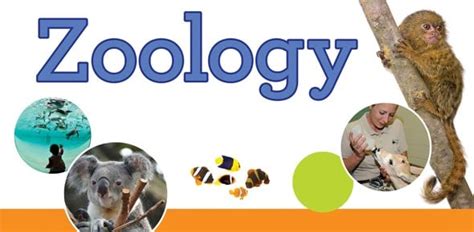 17 Zoology Quizzes, Questions, Answers & Trivia - ProProfs