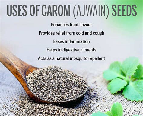 Top Uses and Benefits of Ajwain (Carom Seeds) | Femina.in