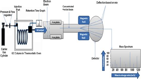 Schematic diagram of GC-MS | Download Scientific Diagram