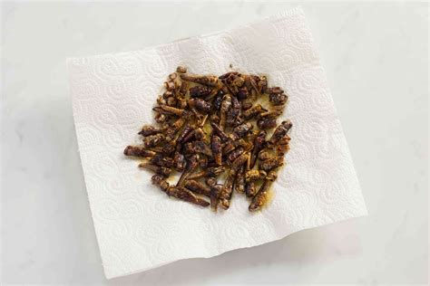 Chapulines: Cooked Grasshoppers Recipe