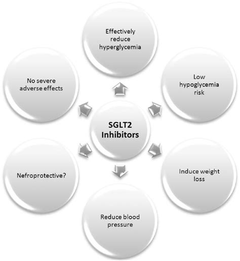 Pleiotropic effects of sodium glucose transporter protein 2 (SGLT2 ...