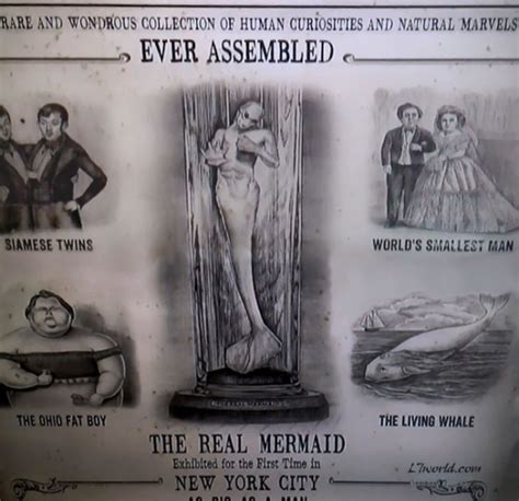 P.T.-Barnum-Real-Mermaid-Flyer-Animal-Planet-Mermaids-The-New-Evidence ...