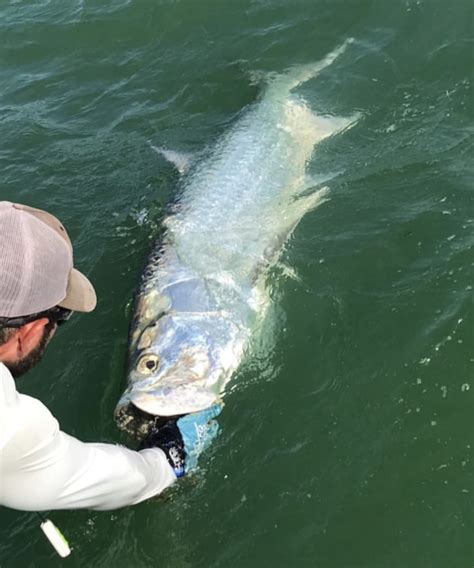 Tarpon Fishing Charter | Clearwater | FishEye Sportfishing