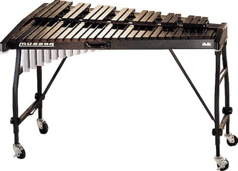 Top 11 Best Xylophone Brands On The Market 2024