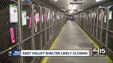 East Valley animal shelter is likely to close - YouTube