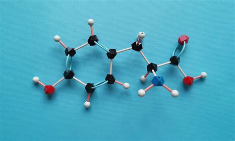 The Importance of Peptide Synthesis: What To Know