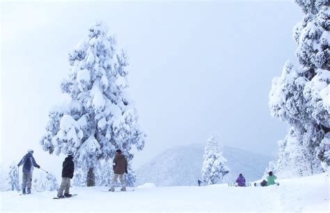 Myoko Kogen Ski Resorts - SNOW MONKEY RESORTS