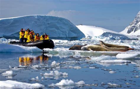 A Zodiac Tour of Pleneau Bay, Antarctica