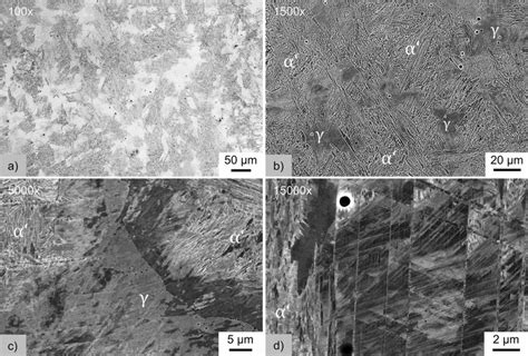 Microstructure of the investigated austenitic steel after Q&P... | Download Scientific Diagram