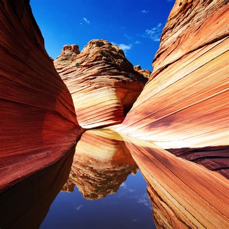 The Wave amazing rock formation in Arizona – Viaggiatore.net