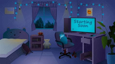 Night Stream Animated Twitch screen starting soon, be right back, stream ending and stream ...