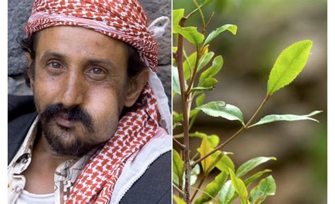 Khat: Culture or Addiction in Yemen - Jennifer Midberry