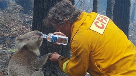 Victoria fires: How Black Saturday compares to Gippsland bushfires ...