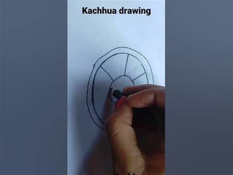 how to make a beautiful kachhua drawing👌 - YouTube