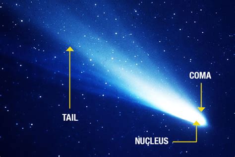 Comets explained for everyone. Facts, Types, and Parts. - Little Astronomy