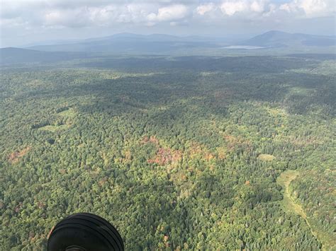 Vermont fall foliage forecast 2023: Forester predicts a good season ...