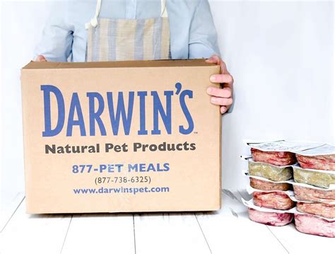 Darwin's Pet Food Delivery Service Review (Vet Approved)