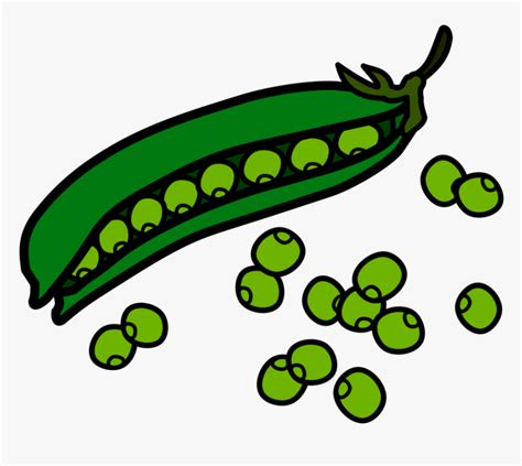 Green Beans Royalty Free Vector Clip Art illustration -food0408 - Clip ...