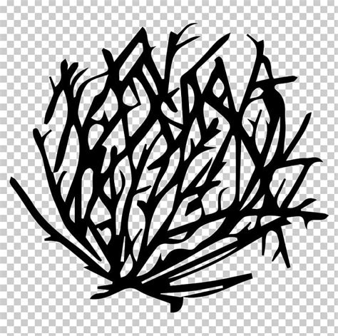 Tumbleweed Drawing PNG, Clipart, Artwork, Black And White, Branch, Clip ...