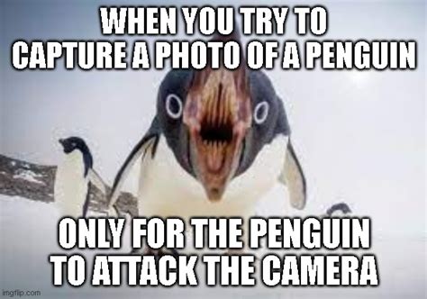 Penguin Meme by SuperMarioFan65 on DeviantArt