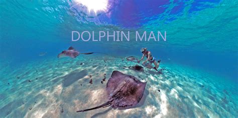 Dolphin Man | FIVARS