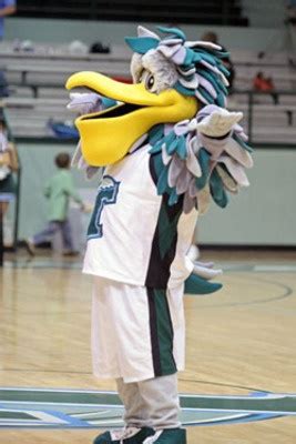 17 Best images about College Mascots: American (AAC) on Pinterest ...